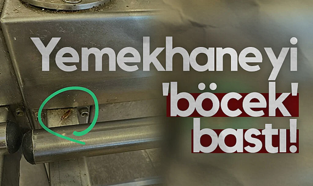 Bafra Devlet Hastanesi Yemekhanesinde Hijyen Skandalı: Böcekler Bastı!