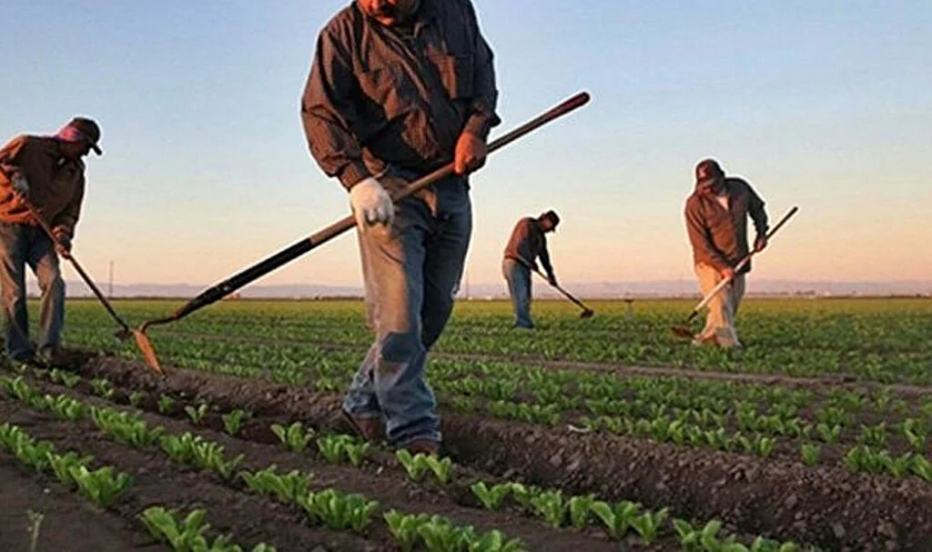 Bakan Yumaklı: Destek Ödemeleri Bugün Hesaplarda