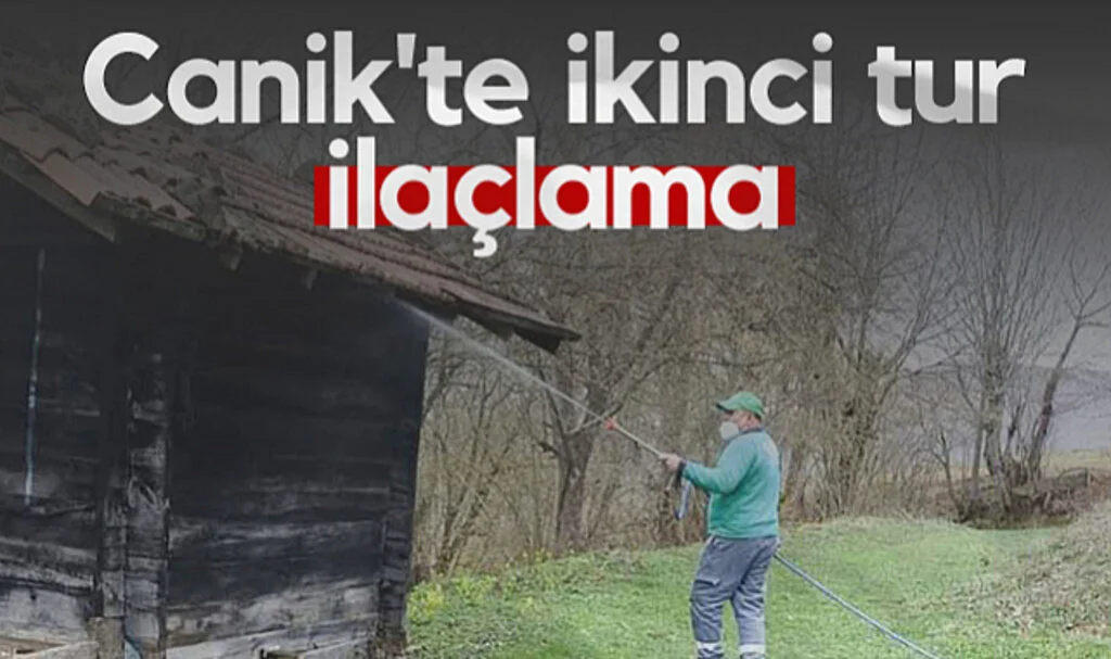 Canik'te Kahverengi Kokarca Tehlikesine Karşı İkinci Tur İlaçlama