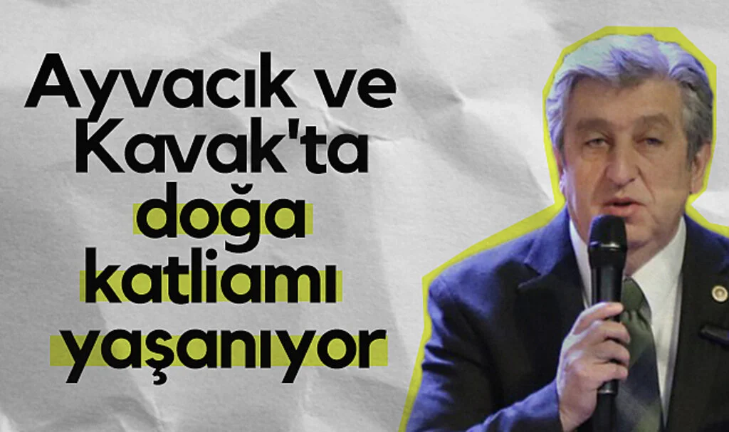 CHP Samsun Milletvekili Murat Çan: Ayvacık ve Kavak'ta Doğa Katliamı Yaşanıyor