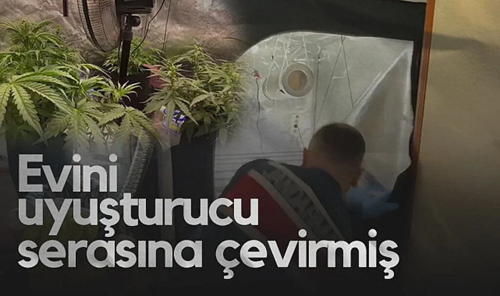 Evini Uyuşturucu Serasına Çevirmiş: İklimlendirme Sistemiyle Kenevir Yetiştirdi