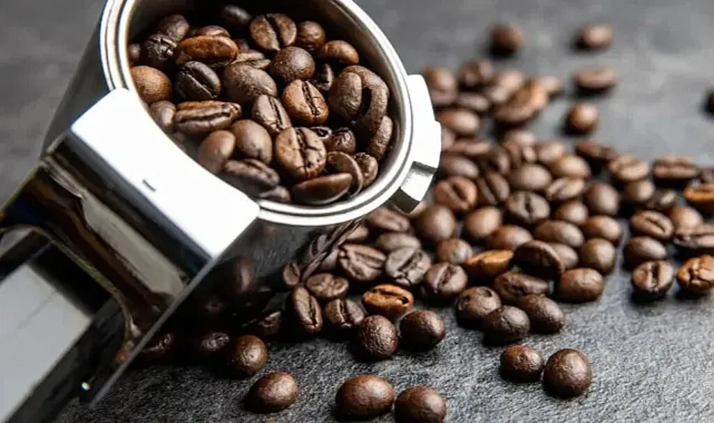 Filtre Kahve Sevenlere Özel: MDA Coffee Deneyimi