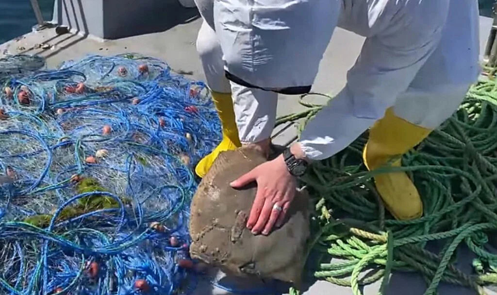 Karadeniz'de Yasağa Uymayan Balıkçılara Ceza