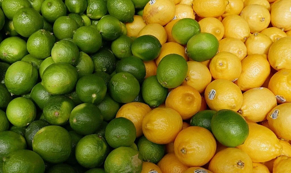 Limon İhracatına Geçici Yasak Geldi