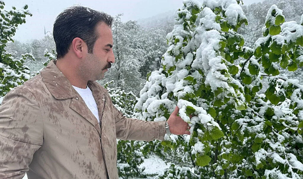 Nisan Karı Fındık Üreticisini Tedirgin Etti