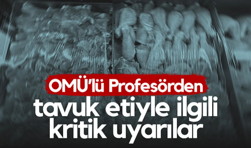 OMÜ’lü Profesörden Tavuk Etiyle İlgili Kritik Uyarılar