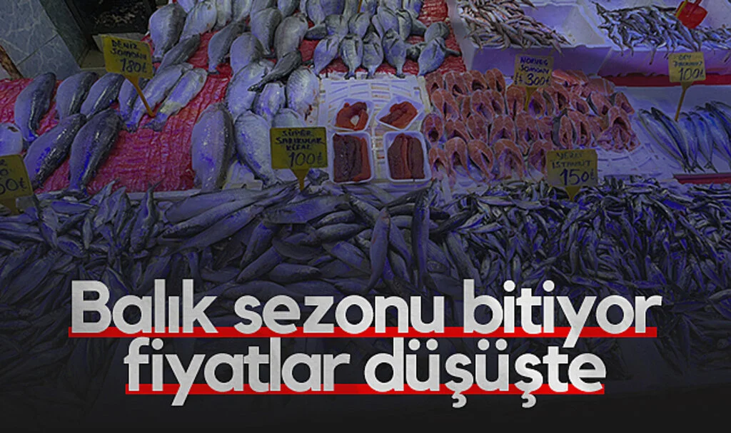 Samsun’da Balık Sezonu Kapanırken Fiyatlar Düşüyor