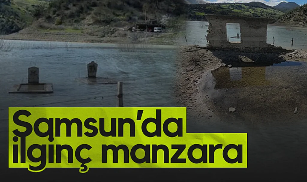 Samsun'da İlginç Manzara: Baraj Suyunda Kalan Mezarlar ve Binlerce Balık Yavrusu