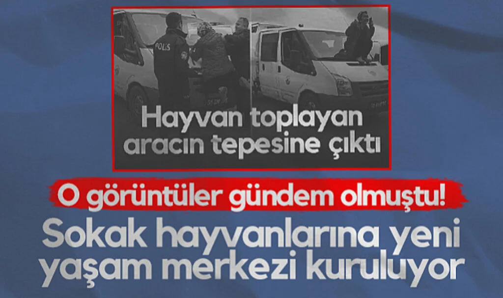 Samsun'da O Görüntüler Gündem Olmuştu! Sokak Hayvanlarına Yeni Yaşam Merkezi Kuruluyor...