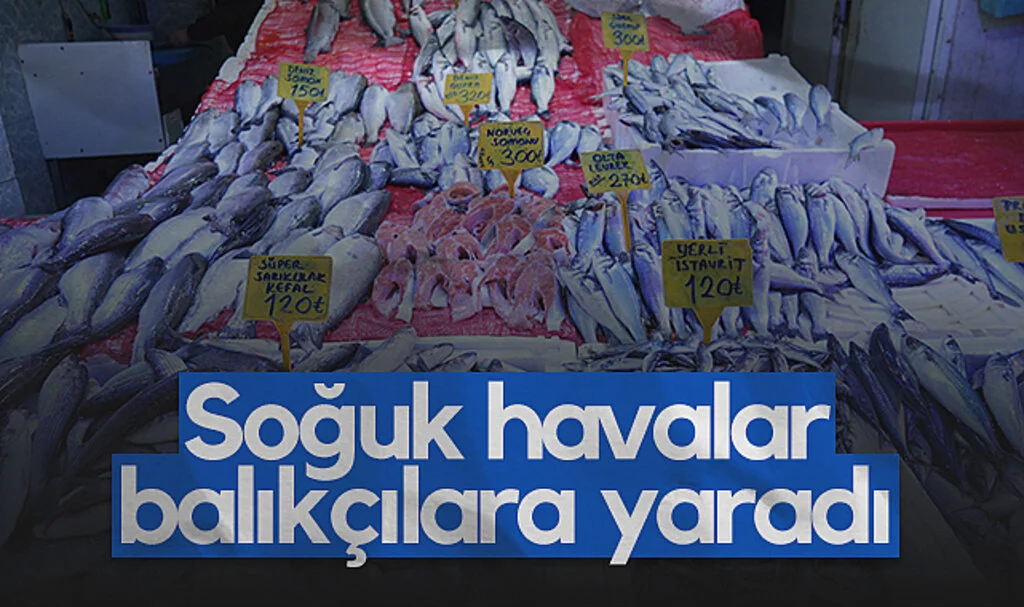 Samsun'da Soğuk Hava Balıkçıların Yüzünü Güldürdü