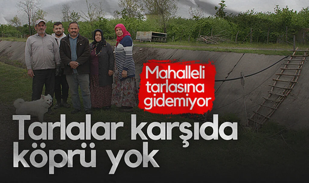 Samsun’da Yaya Köprüsü Talebi: Mahalleli Tarlasına Gidemiyor