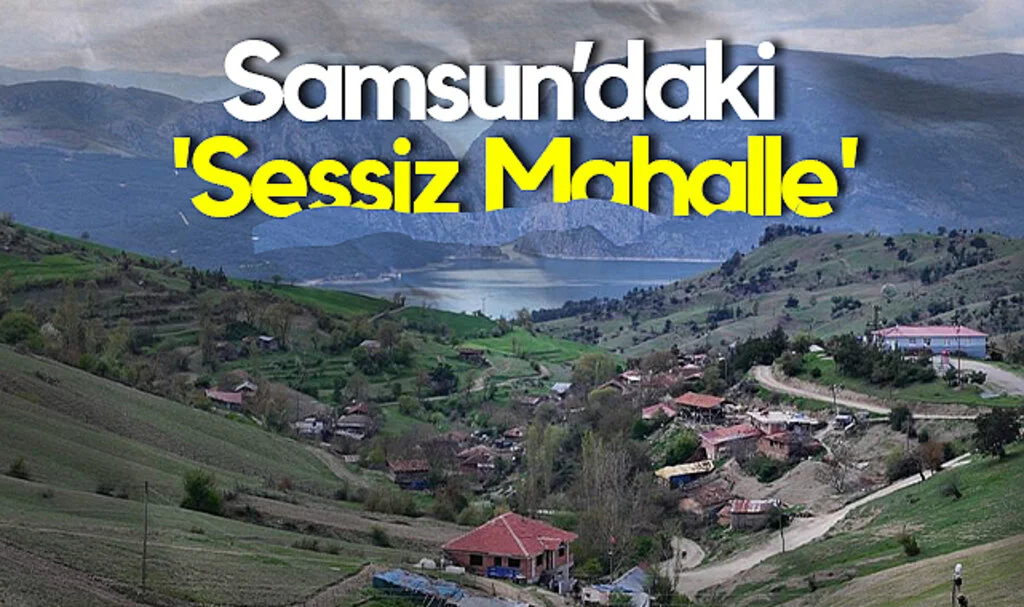 Samsun’daki 'Sessiz Mahalle' Şaşırtmaya Devam Ediyor