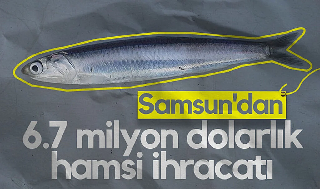Samsun'dan 6.7 Milyon Dolarlık Hamsi İhracatı