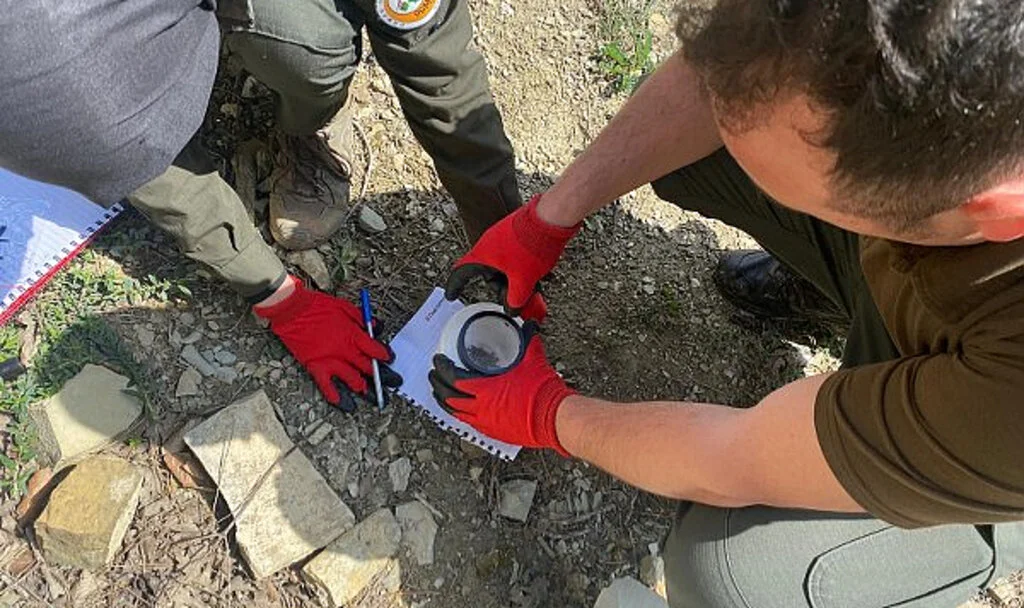 Samsun Ormanlarında Biyoteknik Temizlik Başladı