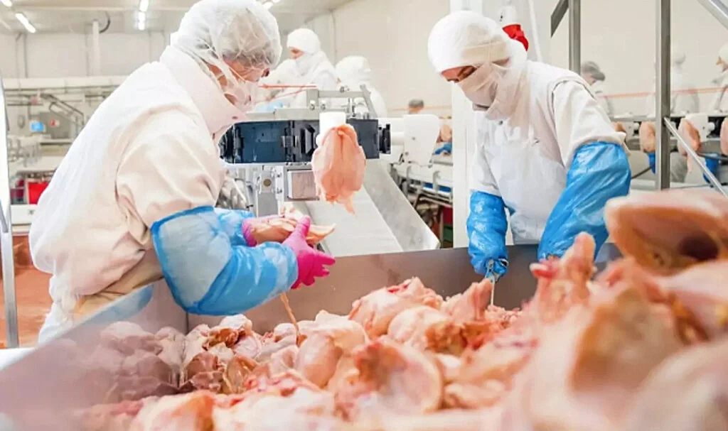 Şenpiliç Ürününde Listeria Tespit Edildi! Verilen Ceza Tepki Çekti...