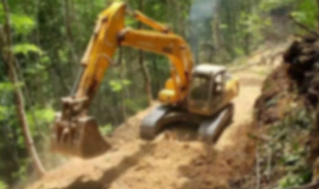 Yeni Orman Yolu Yaptırılacaktır