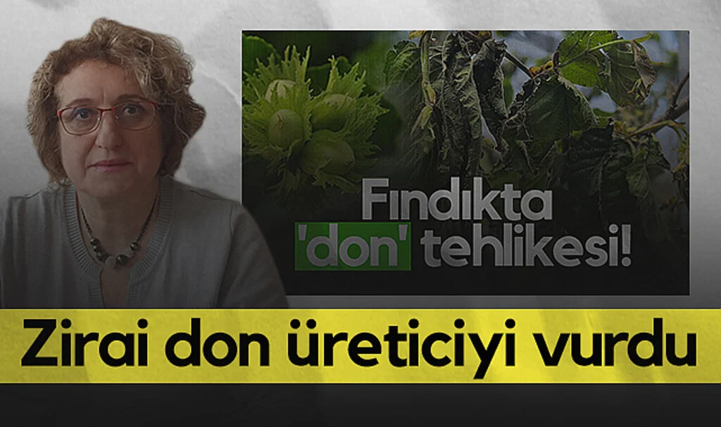 ZMO Samsun Şubesi Başkanı Havva Bayzat: Zirai Don Üreticiyi Vurdu