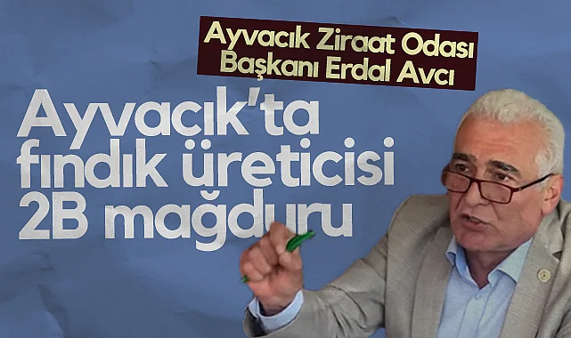 Ayvacık Ziraat Odası Başkanı Erdal Avcı: Ayvacık’ta Fındık Üreticisi 2B Mağduru