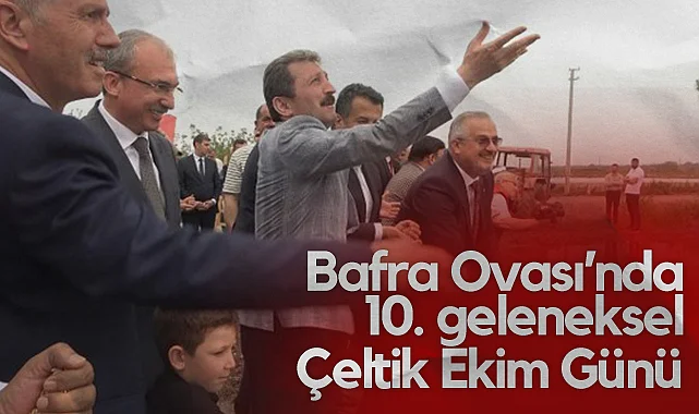 Bafra Ovası'nda 10. Geleneksel Çeltik Ekim Günü