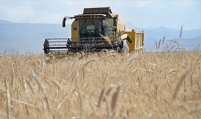 Buğday ve Arpa Fiyatları İçin Gözler Bakanlıkta
