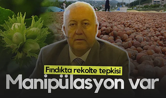ÇTB Başkanı Kazım Yılmaz'dan Rekolte Açıklamasına Tepki: Fındıkta Manipülasyon Var