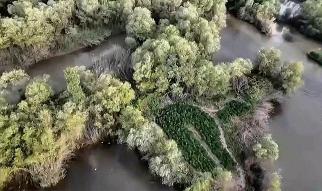 Diyarbakır’da 1 Milyonu Aşkın Hint Keneviri Ele Geçirildi