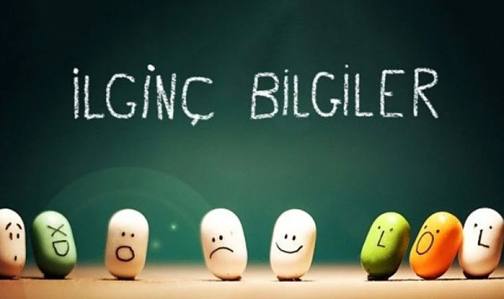Duyunca Şaşıracağınız İlginç Gerçekler