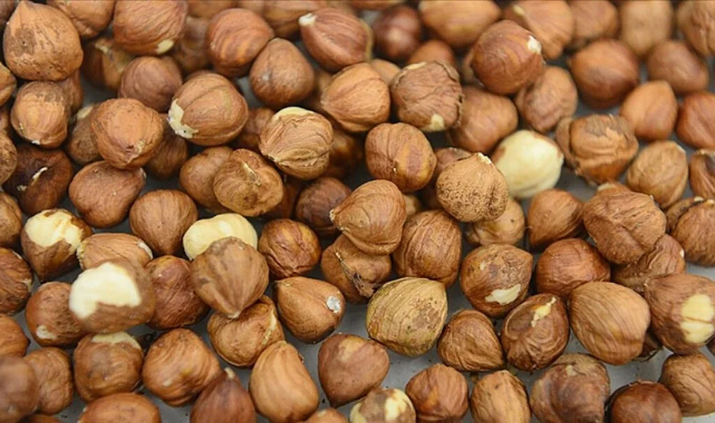 Fındıkta 8 Ayda 550 Bin Tonluk Ticaret Hacmi