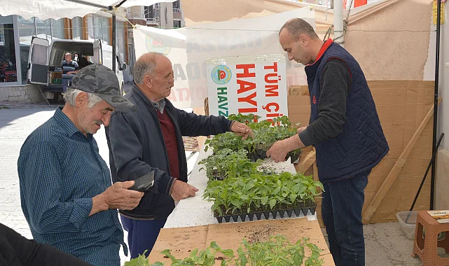 Havza Ziraat Odası'nda Fide Satışları Başladı