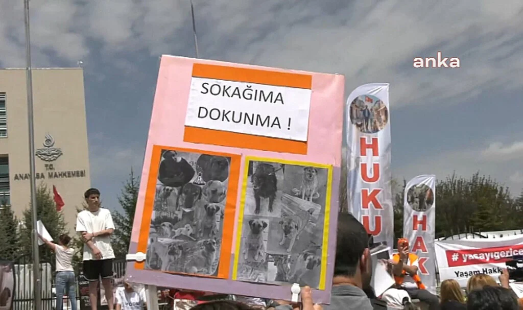 Hayvan Hakları Savunucularından AYM Önünde Protesto