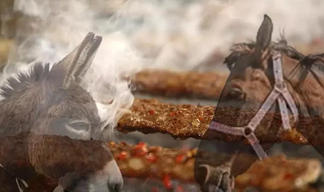 Hileli Gıda Listesi Güncellendi: Vatandaşa Dana Diye At ve Eşek Eti Yedirmişler!
