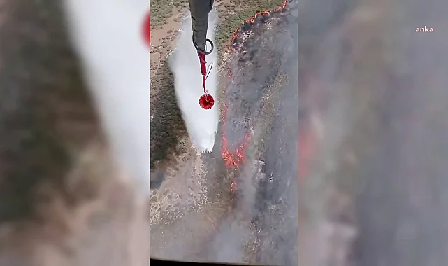İzmir'de Foça ve Urla'da Peş Peşe Orman Yangınları
