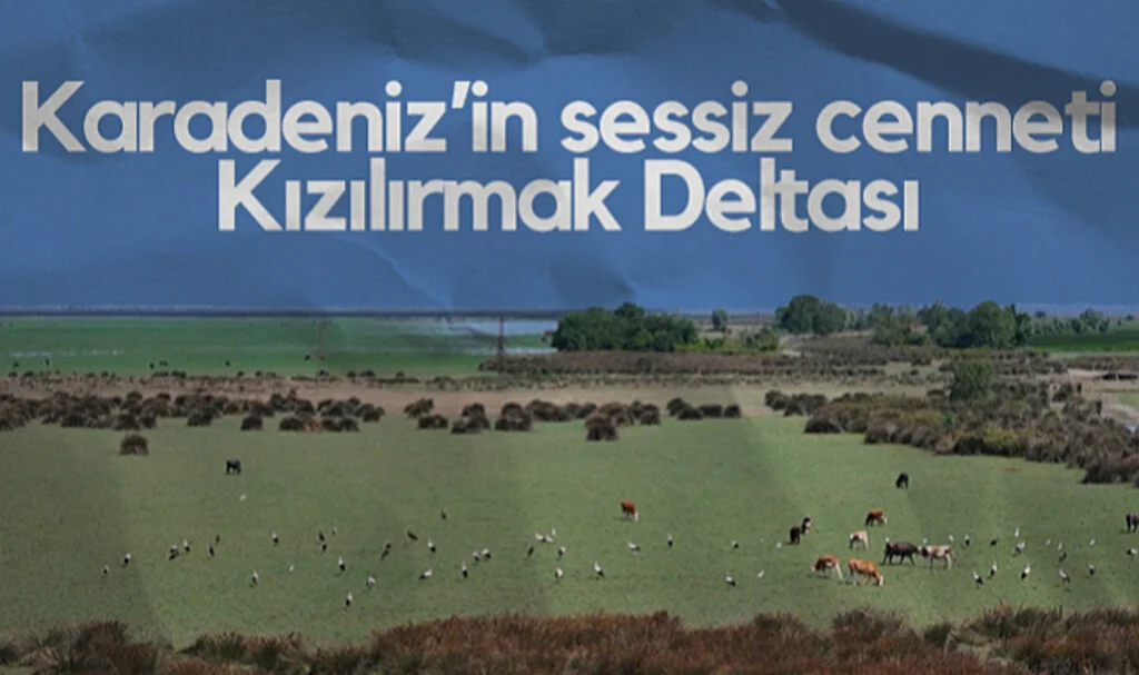 Karadeniz’in Sessiz Cenneti Kızılırmak Deltası