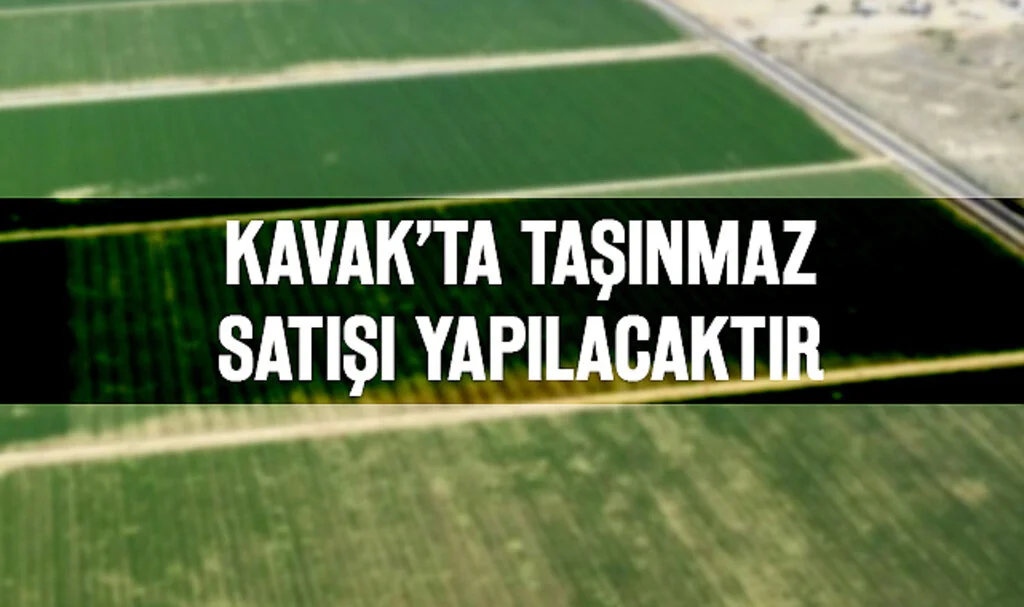 Kavak'ta Taşınmaz Satışı Yapılacaktır