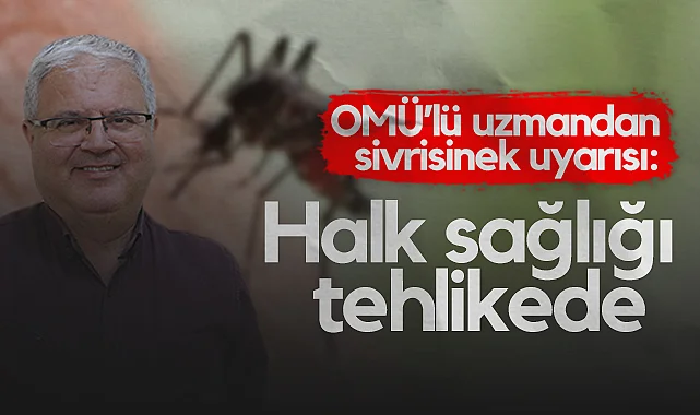OMÜ’lü Uzmandan Sivrisinek Uyarısı: Halk Sağlığı Tehlikede 
