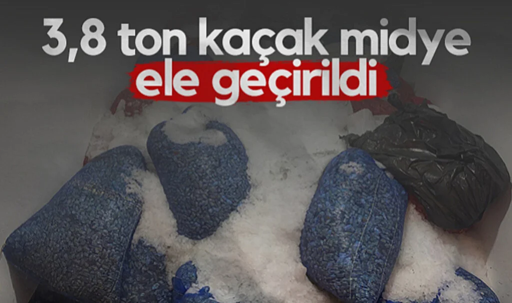 Samsun'da 3,8 Ton Kaçak Midye Ele Geçirildi: 2 Kişiye 126 Bin TL Ceza
