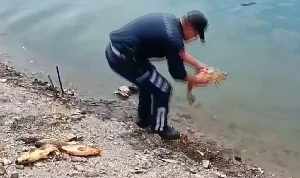 Samsun’da Kaçak Balıkçılık Ekiplerce Önledi
