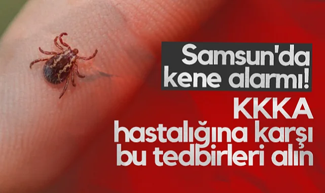Samsun'da Kene Alarmı! KKKA Hastalığına Karşı Bu Tedbirleri Alın...