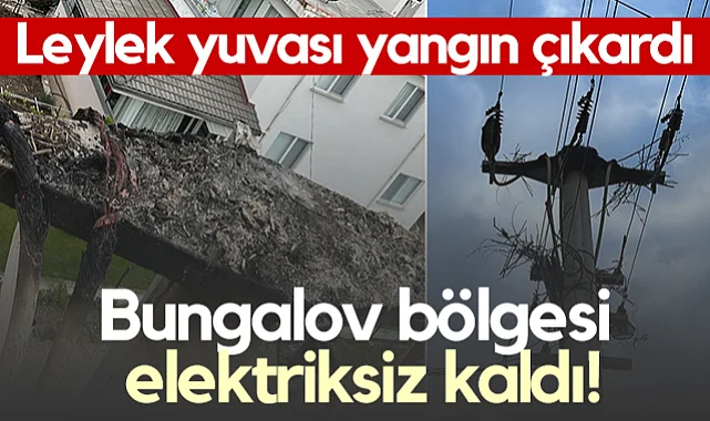 Samsun'da Leylek Yuvası Yangın Çıkardı! Bungalov Bölgesi Elektriksiz Kaldı...