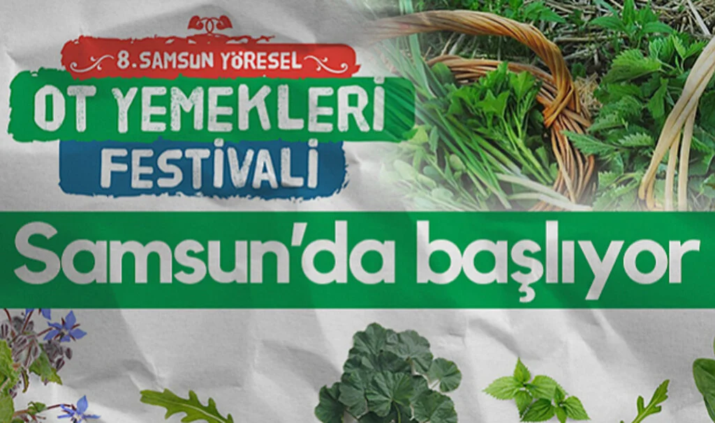 Samsun'da Ot Yemekleri Festivali Başlıyor