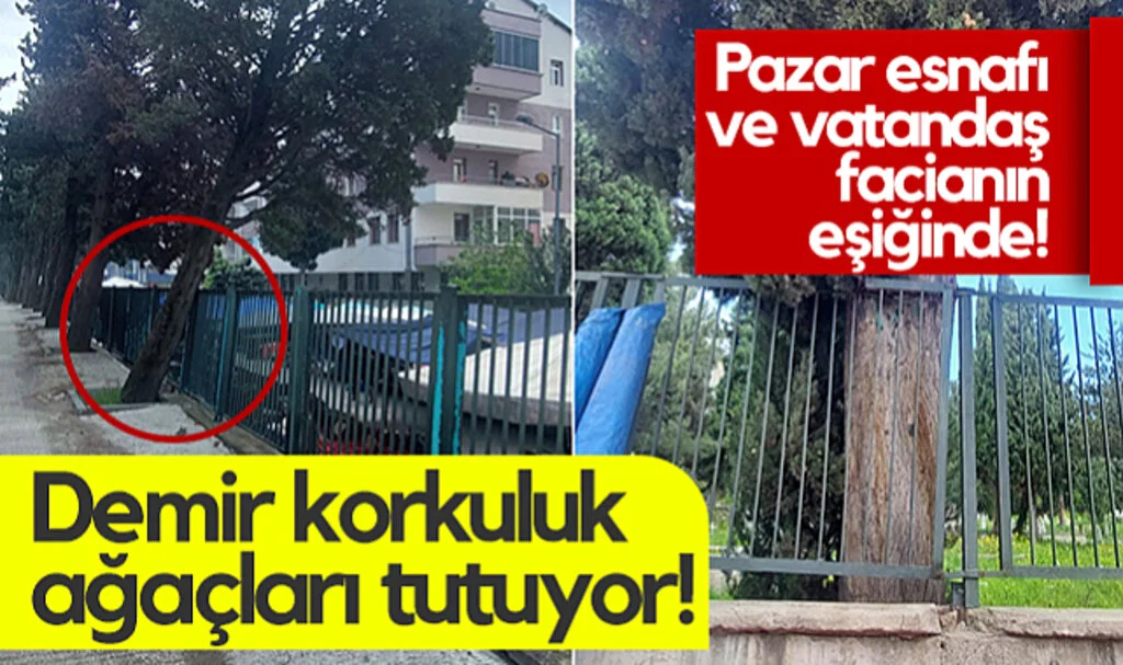 Samsun'da Pazar Esnafı ve Vatandaş Facianın Eşiğinde! Demir Korkuluk Ağaçları Tutuyor...