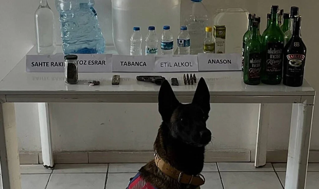 Samsun'da Sahte İçki Operasyonu: 25 Litre Sahte Rakı ve 65 Litre Etil Alkol Ele Geçirildi