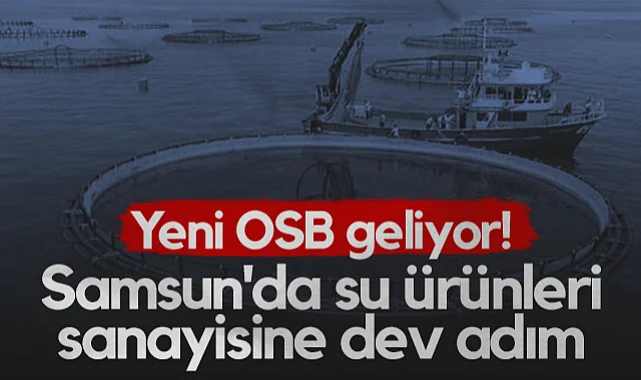 Samsun'da Su Ürünleri Sanayisine Dev Adım! Yeni OSB Geliyor...