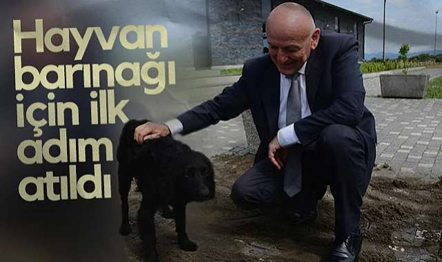 Terme'de Hayvan Barınağı İçin İlk Adım Atıldı