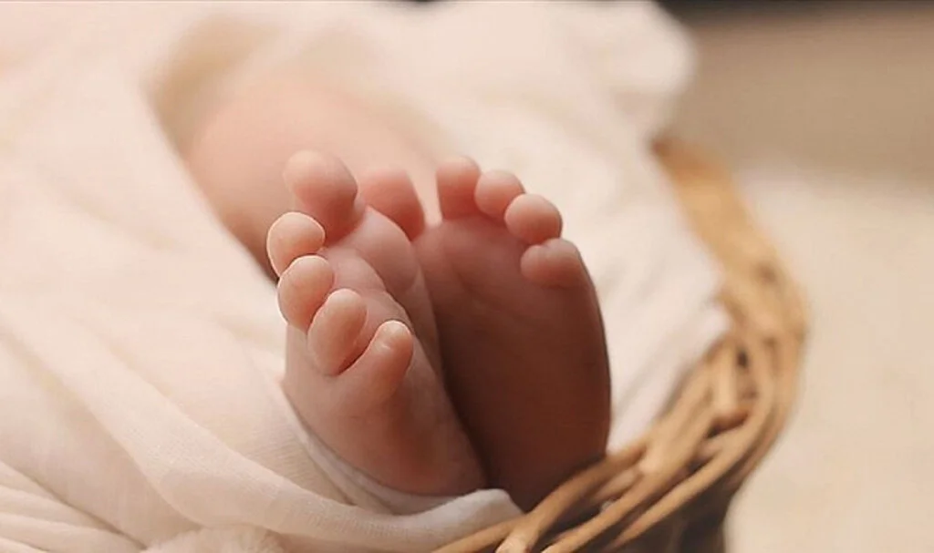 Türkiye’de Doğum Oranları Düşüyor: 937 Bin Bebek