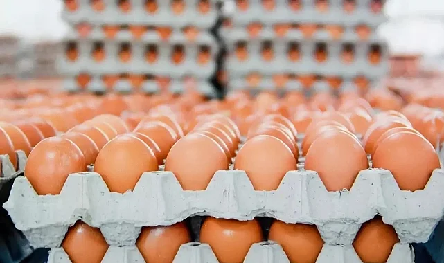 Yumurta Fiyatı Yüzde 50 Düştü, Market Etiketi Yerinden Oynamadı!