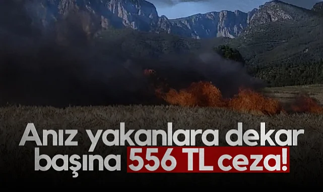 Anız Yakanlara Dekar Başına 556 TL Ceza!