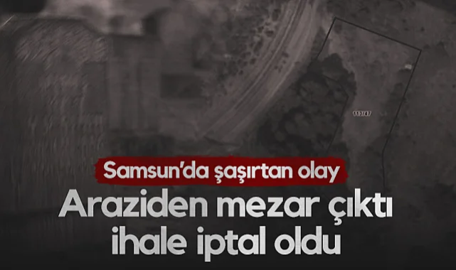 Araziden Mezar Çıktı, Bungalov İhalesi İptal Oldu! Samsun'da Şaşırtan Olay...