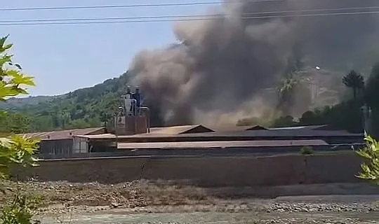 Ayancık'ta Fabrika Yangını: Yemekhane Kül Oldu
