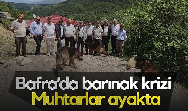 Bafra’da İzinsiz Barınağa Muhtarlardan Tepki